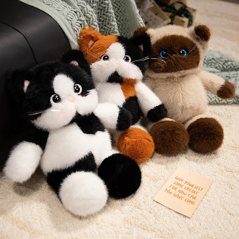 Poppy your quiet anchor