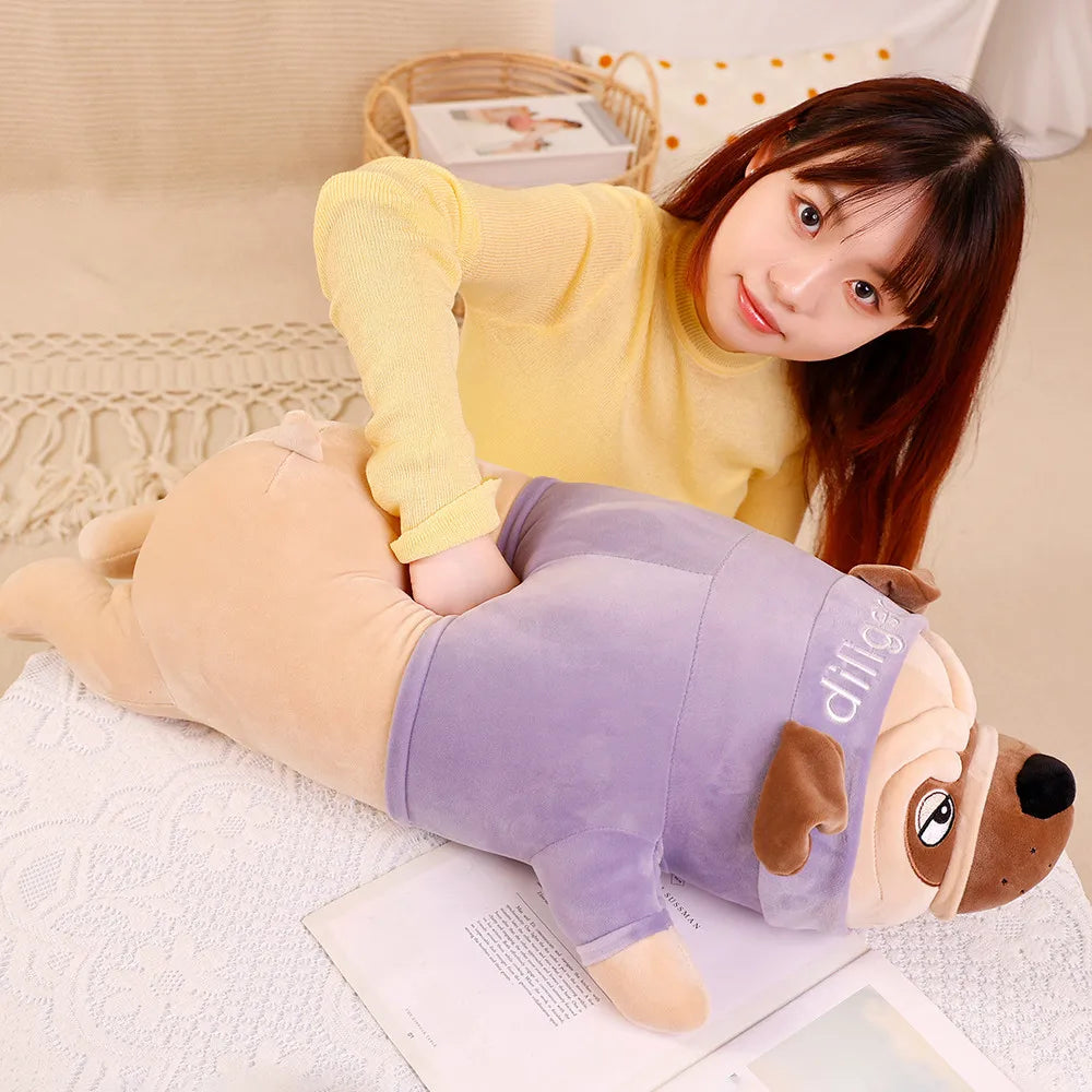 Nova your quiet anchor