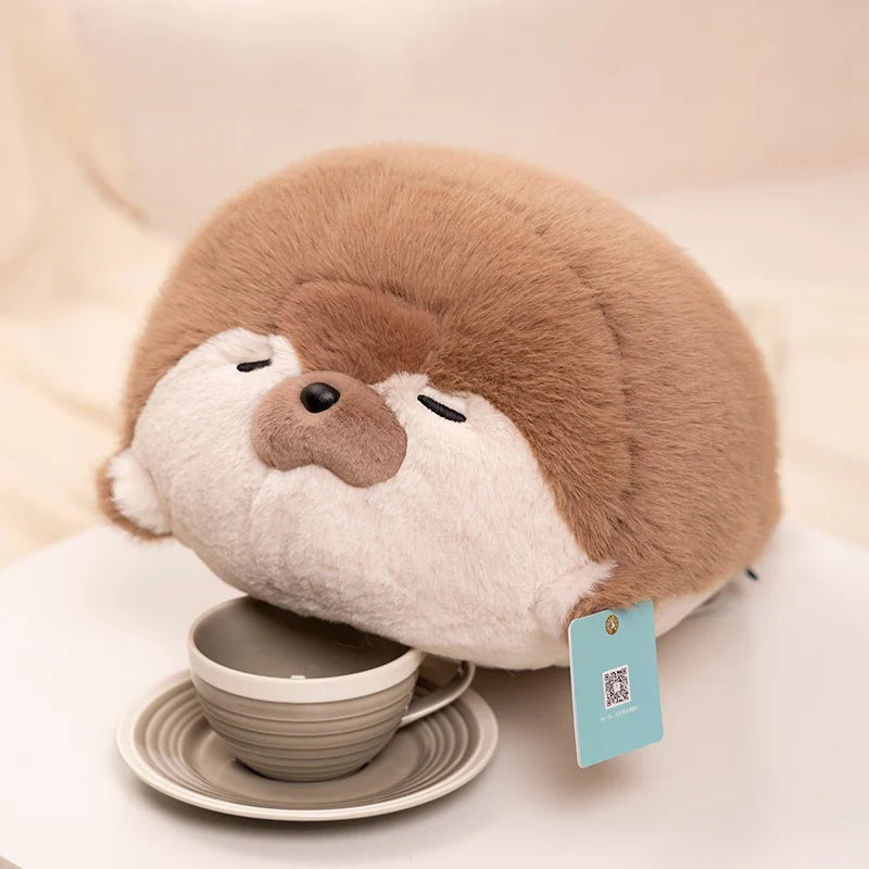 Fern your quiet anchor