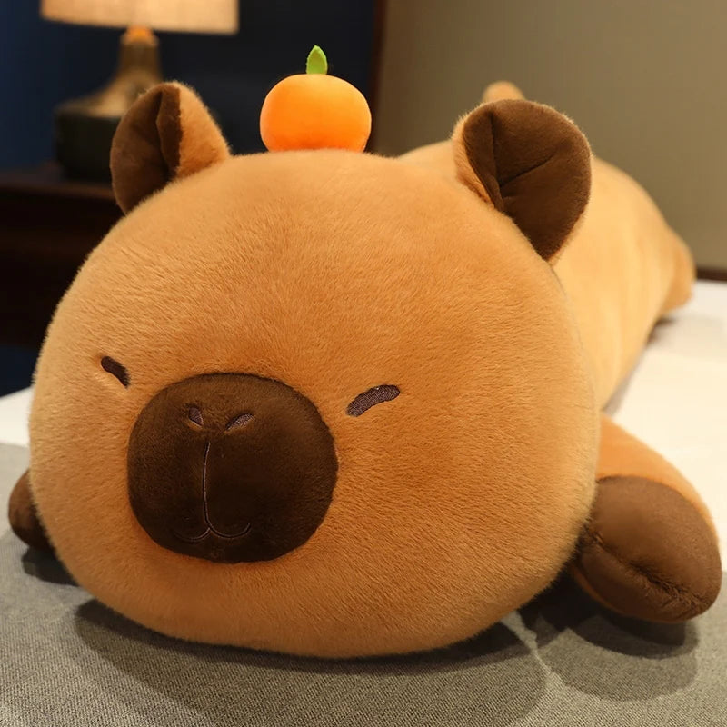 Teddy your emotional shelter