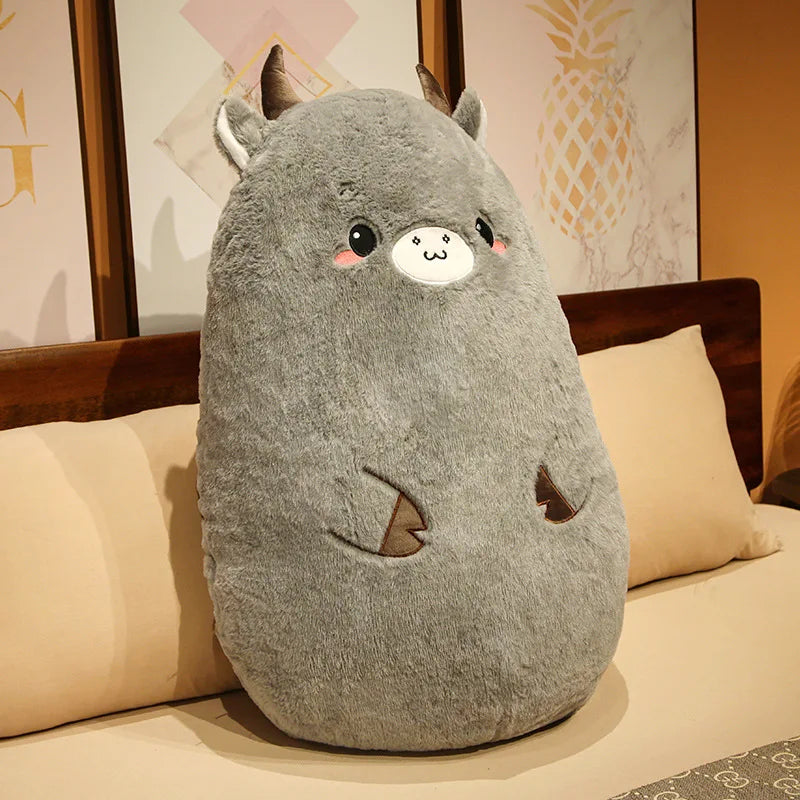 Vivi your emotional shelter