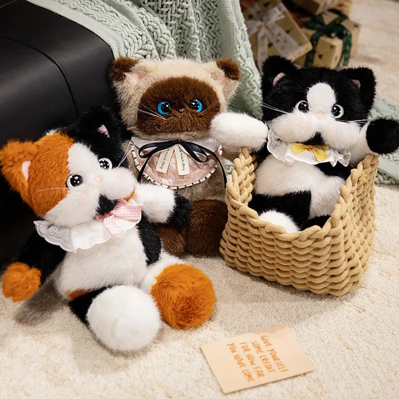 Poppy your quiet anchor