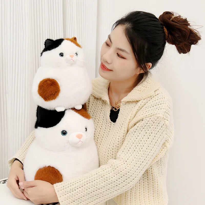 Maple your quiet anchor