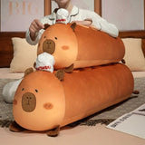 Teddy your steady light
