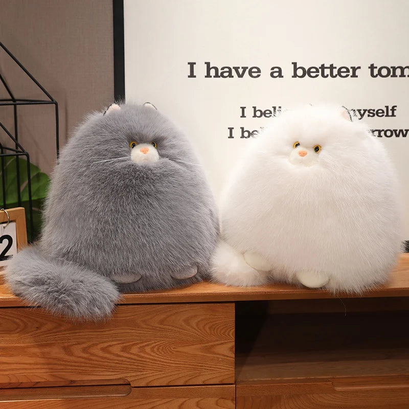 Ollie your gentle companion