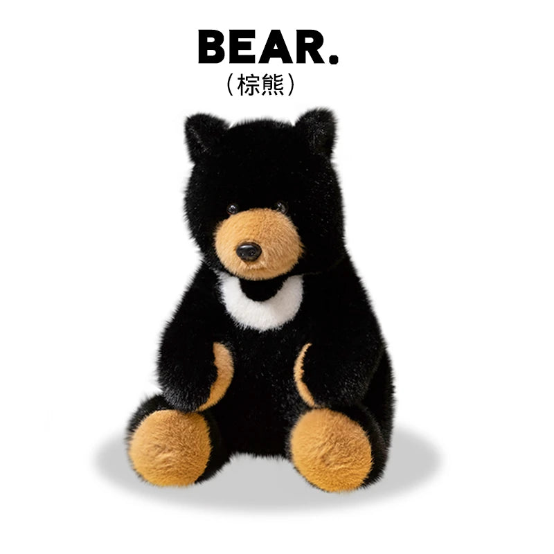 Kiwi your soft spoken voice