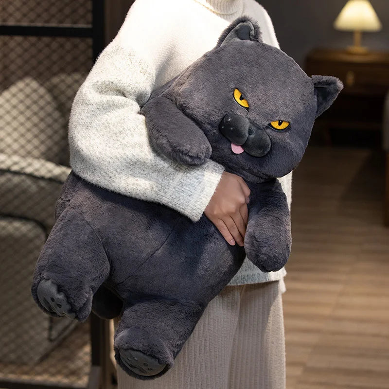 Rue your bedtime buddy