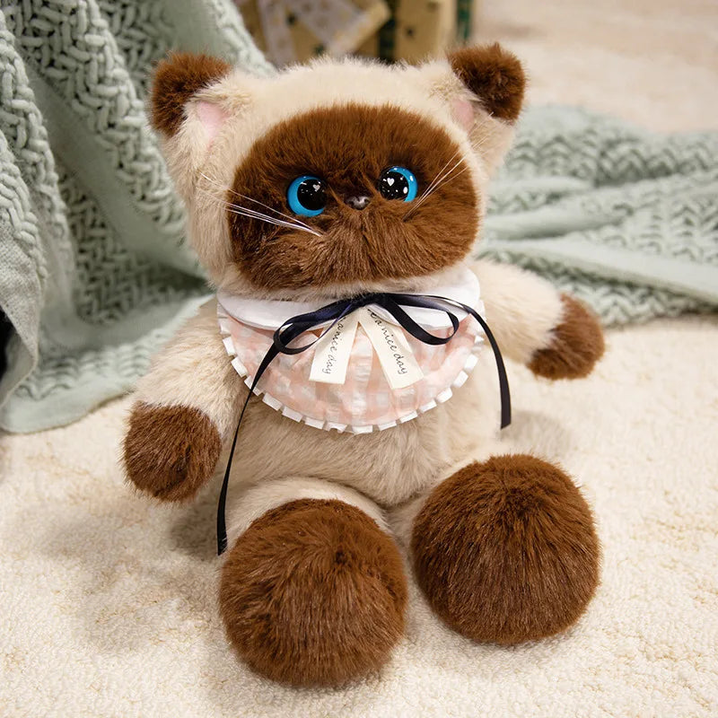 Poppy your quiet anchor