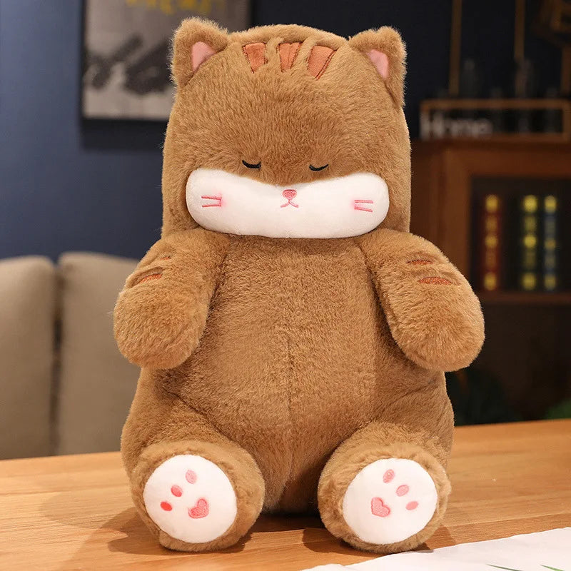 Fig your emotional shelter