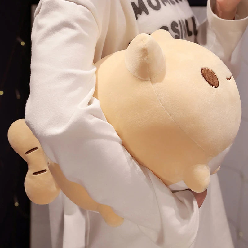 Poppy your quiet anchor