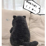 Leo your gentle companion
