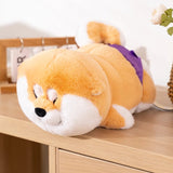 Sage your gentle companion