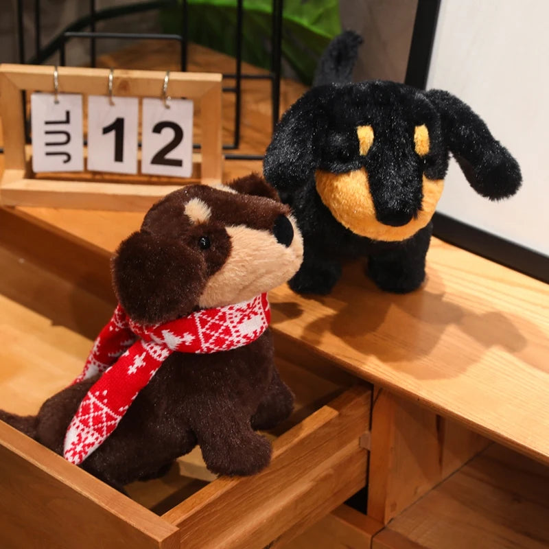 Nomi your emotional shelter